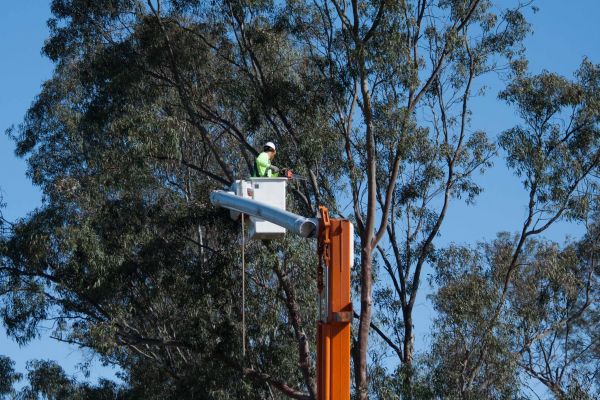 Columbia Tree Trimming