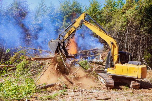 Columbia Land Clearing